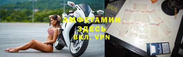 ГАЛЛЮЦИНОГЕННЫЕ ГРИБЫ Покачи