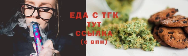 хмурый Гусь-Хрустальный