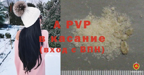 крисы Пересвет
