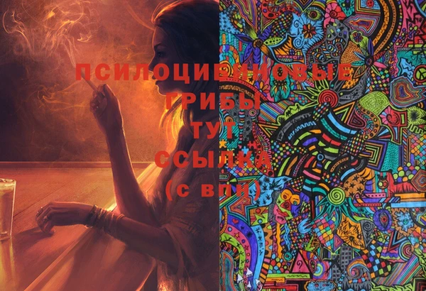 крисы Пересвет