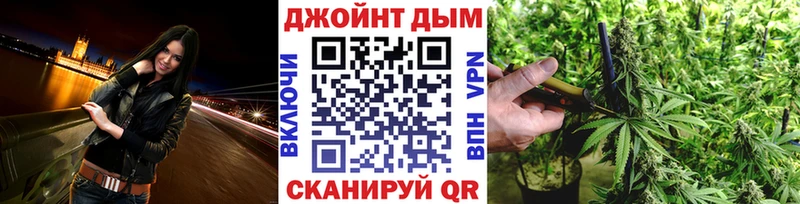 Канабис ГИДРОПОН  Тайга 